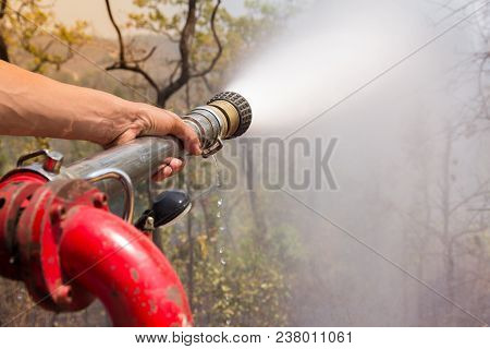 Firefighters Spray Water To Prevent Forest Fires From Spreading.