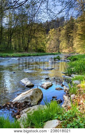 Beautiful Scenery Of Spring Landscape With River And Forest. Oslava River, Czech Republic, Europe