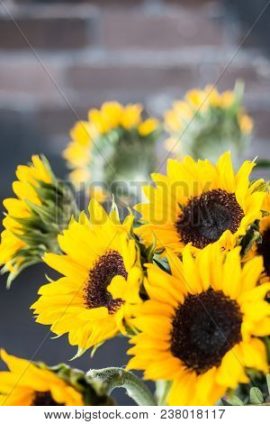Bouquet Of Bright Sunflowers On A Wooden Table.