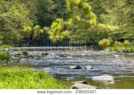 Beautiful Scenery Of Landscape With Stony River And Spring Forest. Oslava River, Czech Republic, Eur