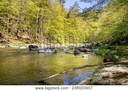 Spring Landscape With River And Forest Under Blue Sky. Oslava River, Czech Republic, Europe