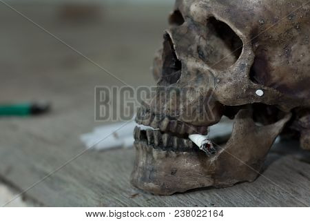 Human Skull Smoking A Cigarette,dead Because Of Smoking,stop Smoking Concept.