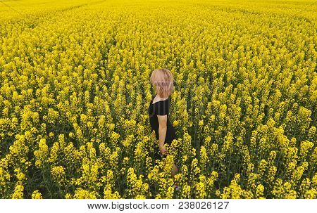 A Girl In A Black Dress Among The Colors Of Rape In The Field. Walk The Girl Among The Yellow Flower