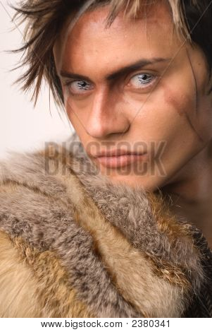 รูปหมาป่า