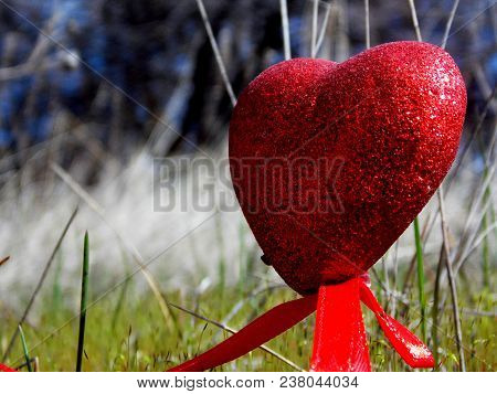Heart Is A Symbol Of Love, Beauty And Peace. Love Is The Most Beautiful Thing In The World!