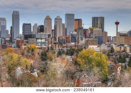 The Calgary, Canada Skyline With Fall Foliage