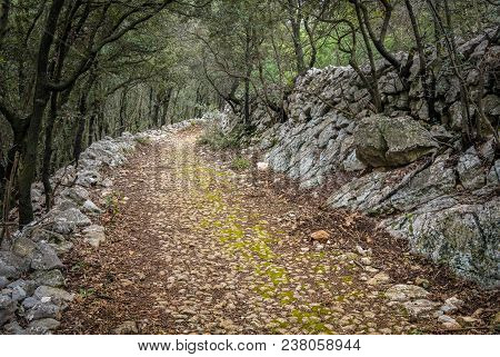 Old Roman Road Through The Forest Near Cres In Croatia