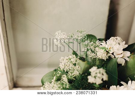 Anise And Chamomile Bouquet In Light At Rustic White Wooden Window In Light, Space For Text. Daisy A