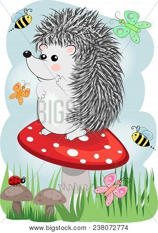 Lovely Cartoon Hedgehog Sits On A Fly Agaric Mushroom, Baby Card