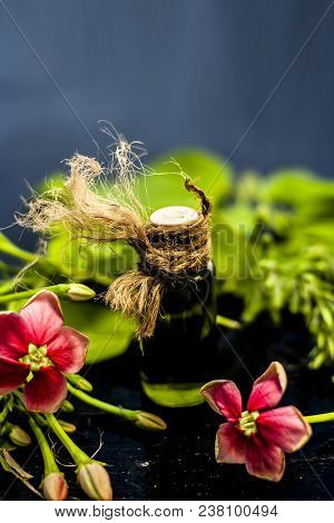 Ayurvedic And Floral Essence Of Rangoon Creeper Or Chinese Honeysuckle Or Madhumalti In A Transparen