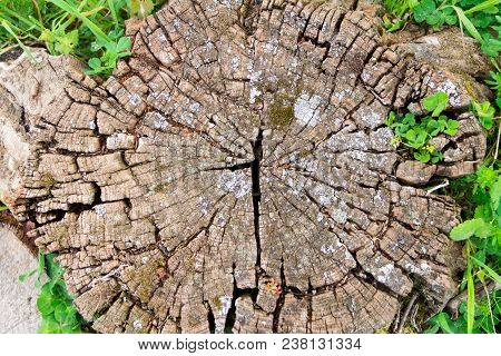 Cracked Stone Wall Background