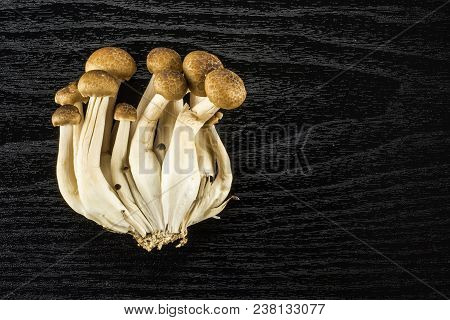 Brown Beech Mushrooms Image & Photo (Free Trial) | Bigstock