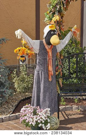 Halloween Scarecrows And Characters