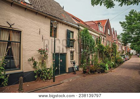 Gouda, Southern Netherlands - June 29, 2017. Graceful Alleyway With Brick Houses, Shrubs And Flowere