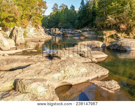 Light And Shade Along Scenic Rocky River Through  Tree Lined Gorge Leading To Mclaren Falls Tauranga