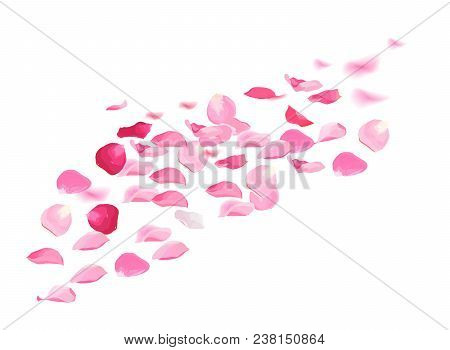 Pink Rose Petals Pile Vector Design Set.flying In The Air Flowers Petal Isolated On White Background