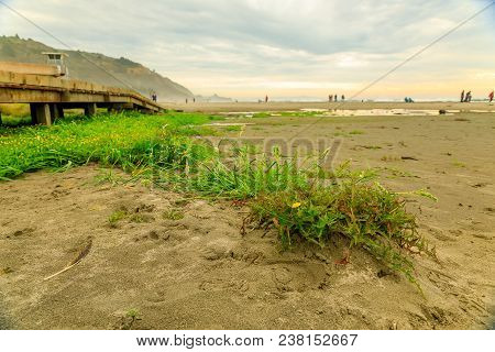 Puddles On The Beach On A Foggy Afternoon In Stinson Beach California