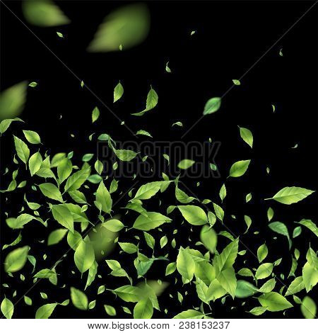 Green Flying Or Falling Off Leaves. Vector Abstract Foliage Background