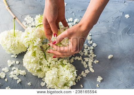 Floral Concept For Card