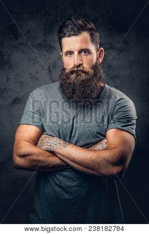 Brutal Bearded Male With Tattoos On Arms Over Grey Background.