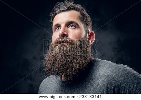 Brutal Bearded Male With Tattooed Arms Over Dark Grey Background.