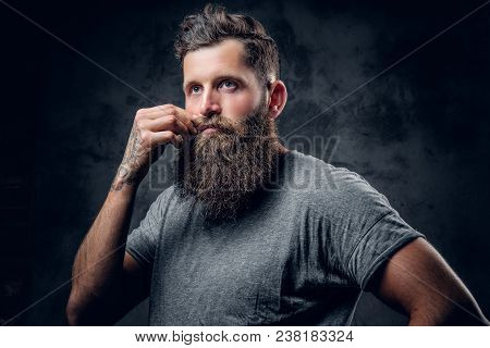 Brutal Bearded Male With Tattoos On Arms Touches His Moustache Over Grey Background.