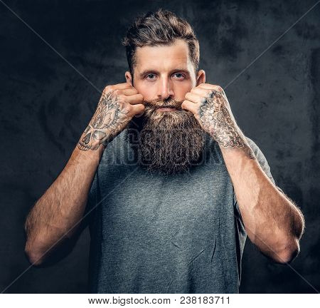 Brutal Bearded Male With Tattoos On Arms Touches His Moustache Over Grey Background.