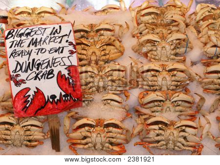 Verse krab