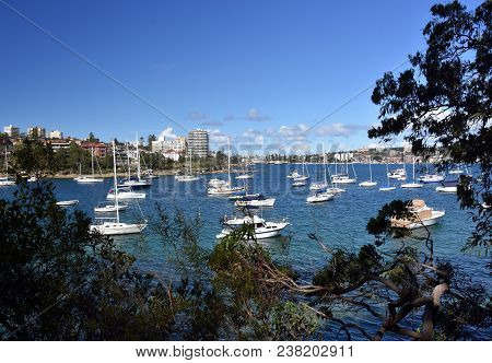 Manly Buildings Skyline From Wellings Reserve. Many Yachts In North Harbour At Fourty Baskets Beach.