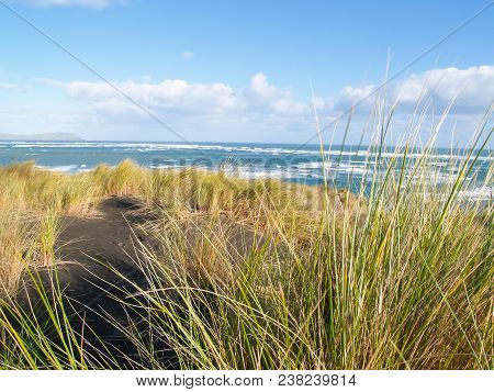 Rough Sea Beyond Coastal Dunes And Vegetation On West Raglan Coast