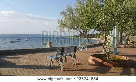 wood, tree, landscape, outdoors, nature, tree log, sky, roof, hay, bulldozer, tractor, transportatio