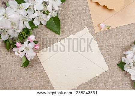 Сard With An Beige Envelope And White Flowers Of Apple Tree On Beige Fabric.