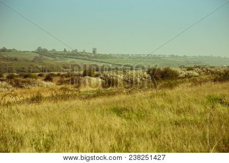 Sunny English Landscape With Hadleigh Castle On The Horizon