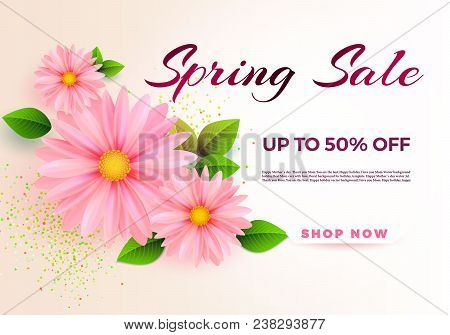 Spring Sale S Banner Template With Paper Flower On Colorful Backgruond Illustration.