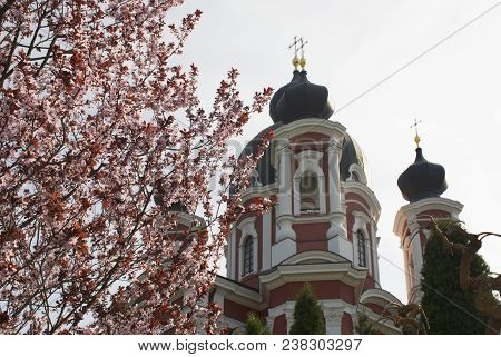 Orthodox Monastery In Moldova In The Spring. Blooming Tree And Domes. Curchi Church