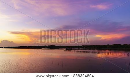 Beautiful Twilight In Mangrove Forest Area , Bang Pakong District, Chachoengsao ,thailand