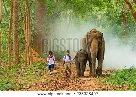Surin, Thailand - June 25, 2016: Boy And Girl Students In Uniform Walking Together With Elephant Wit