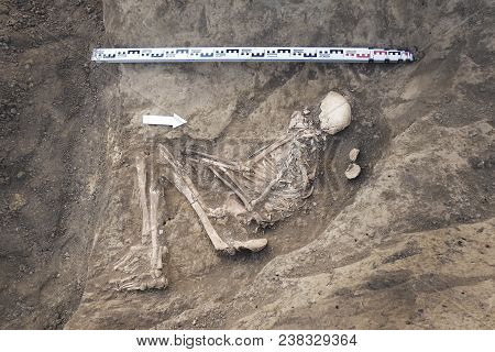 Archaeological Excavations And Finds (bones Of A Skeleton In A Human Burial),  Working Tool, Ruler, 