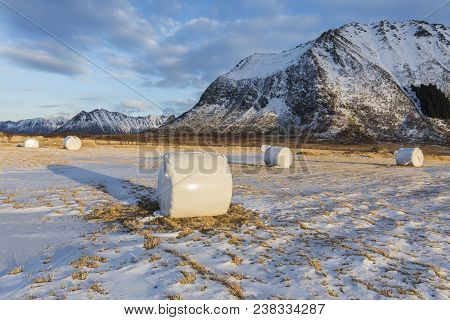 Farmland With Hay Bales At Winter On The Snowy Plains Of Gimsoya Island, Lofoten, Norway