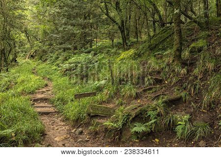 The Turn-off In The Gudu Forest To The Bottom Of The Gudu Falls Near Mahai In The Drakensberg