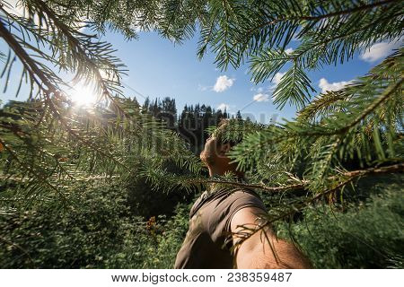 Bearded Man Taking Selfie In Summer Pine Forest. Man Enjoys Coniferous Aroma. Goods From Phytoncides