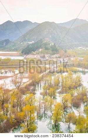 Yellow Trees Reflected In The Shallow Shore Waters Of The Skadar Lake, Skadar Lake National Park, Mo