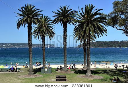 Balmoral Beach With Palm Trees. Entrance Of Sydney Harbour With North Head And South Head In The Bac