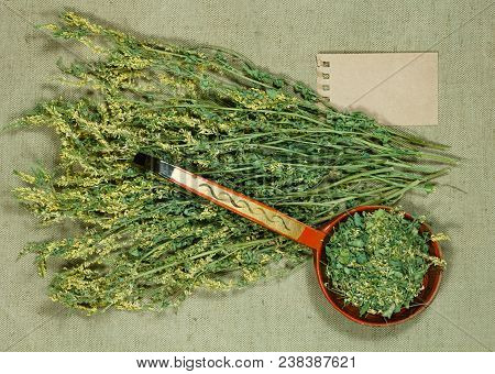 Melilot. Dry Herbs For Use In Alternative Medicine, Phytotherapy, Spa, Herbal Cosmetics. Preparing I