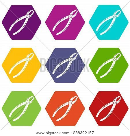 Tooth Pliers Icons 9 Set Coloful Isolated On White For Web
