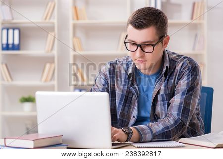 Young student studying over internet in telelearning concept