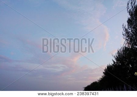 Tree Silhouette On Sky As Twilight Times. Beautiful Nature Blue Sky With Trees, Branch On Sky Backgr