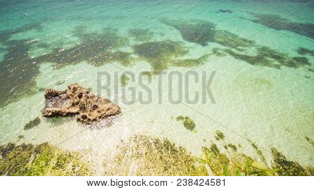The Tropical Coast Of The Island Of Bohol With Corals. Philippines