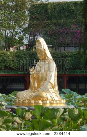 โกลเด้น Budha (ควนยิน)