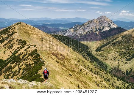Hiking Man With Baby Carrier Backpack. Mountain Landscape And Hill Rozsutec In Mala Fatra National P